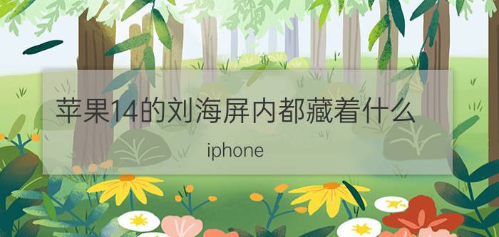 苹果14的刘海屏内都藏着什么 iphone 14触控采样率？